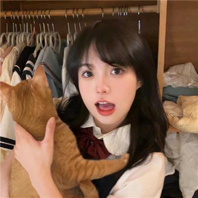 猫物件 电影版
